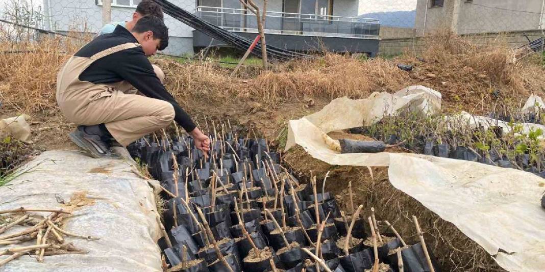 Yok olmaya yüz tutmuştu: Liseliler 5 bin adet yetiştirdi, eğitime de tarıma da katkı sağlandı 2